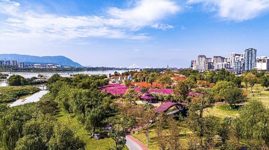 步入公園，仿佛走進(jìn)“色彩的世界”。王淦攝（資料圖片）